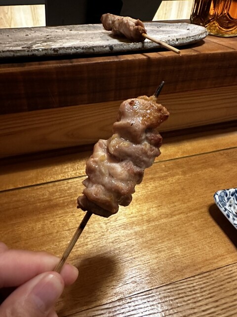 YAKITORI chujo photo 3