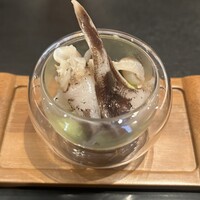 京 静華 - 