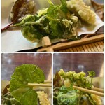 Kandukuri Sou - 山菜は日替わりのようですが…
                      珍しい葉っぱみたいな山菜も入っていますね〜♪
                      これはワサビの葉かな〜？
                      わらび、タケノコはわかりました♪(*ﾟ∀ﾟ*)