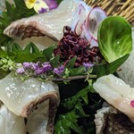 堂の浦 - アップ！