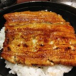 うなぎ 青山 - うなどーん！