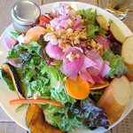 キャンティーナ 志木駅店 - 新鮮野菜のサラダプレート