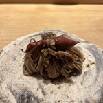 鮨 一二郎 - 今年はホタルイカの当たり年。あちこちで運良くたくさん美味しくいただきましたが、お蕎麦は初めて。墨とお出汁が良い味わいに！