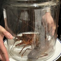 中国料理 桃花林 - 