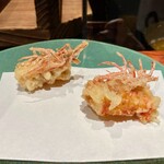 江戸前晋作 - かしら