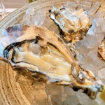 OYSTER FARM - 