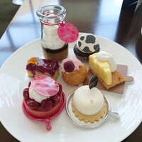 オールデイダイニング セリーズ - 