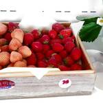 ベイクオーレ - 県産いちご食べ放題！