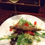 ワインバー マイアーレ - 