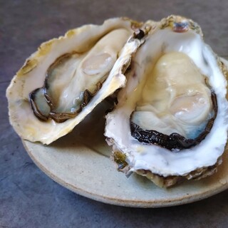 Limited to 20 oysters per day! Fresh Oyster sold at cost price