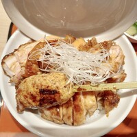 炭焼きうなぎ・かしわ 登河 池下店 - 
