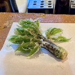 たでの葉 - コシアブラの天ぷら♪