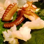 さかなや　いぬい - 2013年11月訪問時撮影