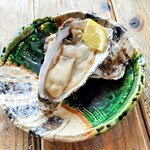 光る海 - 生牡蠣 大