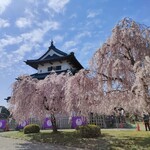 Cafe KITAMON - 本丸と枝垂れ桜