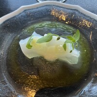 Opuses - アオリイカ