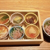 茶茶 このか -  茶茶 このか -