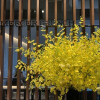 マーサーブランチ テラスハウス - 