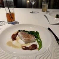 XEX TOKYO / Salvatore Cuomo Bros. - 