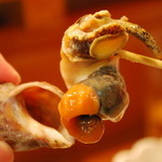 磯の茶屋 - マイゴの身(b'3`*)