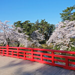 LE CHOCOLAT - 杉の大橋の美しい満開の桜