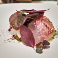 マンサルヴァ - 