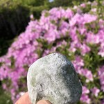 三浦屋 - くさもち