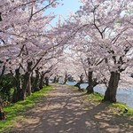 Kurafuto Ando Wakafe Takumi Kan - 西壕の水面の反射と桜が美しい