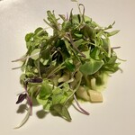 ドンブラボー - 【ハーブ】自家製パスタのジェノベーゼ