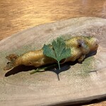 ドンブラボー - 【稚鮎】フリット