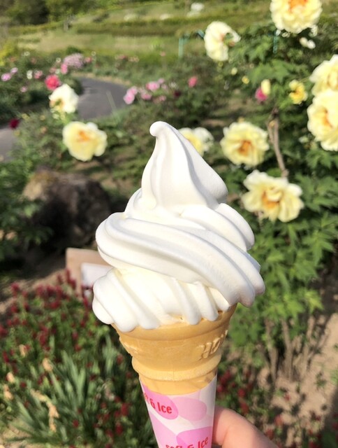 ぼたんハウス - 花泉（食堂）