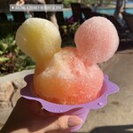 Pāpālua Shave Ice - 