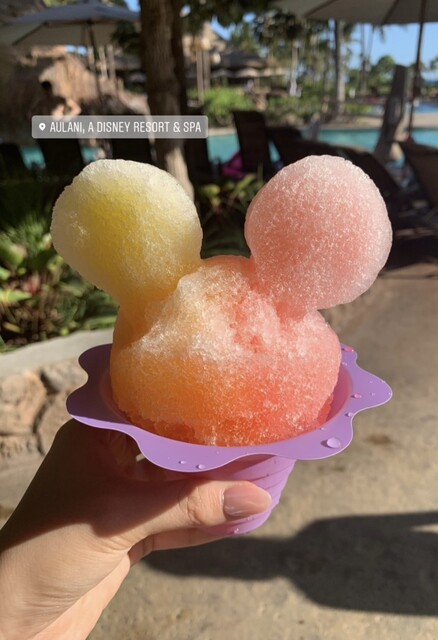 Pāpālua Shave Ice （パパルア・シェイブ・アイス） - コオリナ