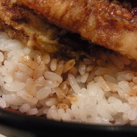 天ぷら ひさご - 天丼