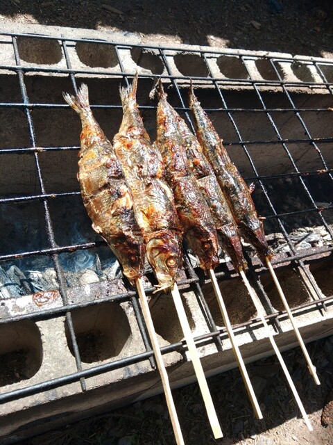 叶内冷菓 - 新庄（ジェラート・アイスクリーム）の写真