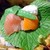 湯山荘 阿讃琴南 - 料理写真:山葵菜にお造り