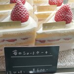 246446906 - ショーケース2