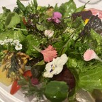 レフェルヴェソンス - 