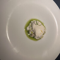 セルサルサーレ - 