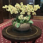 PROFILHOTELS COPENHAGEN PLAZA - ロビー