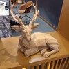 Flying Stag - 
