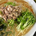 中華そば ふじ田 - 新メニュー 坦々麺  並 ８５０円でこのボリューム