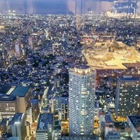 サンシャイン クルーズ・クルーズ - 