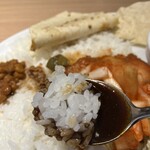 デリー - カシミールカレー