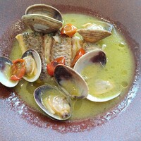 GLICINE di ACQUA PAZZA - 
