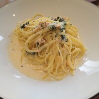 GLICINE di ACQUA PAZZA - 