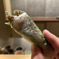 ひがしやま 司 - 