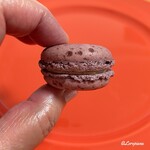 ブールドゥ・ネージュ - カシス(Cassis)