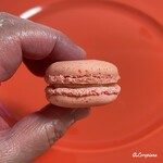 ブールドゥ・ネージュ - フレーズ(Fraise)