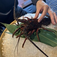 舞浜Teppanyaki＋ - 